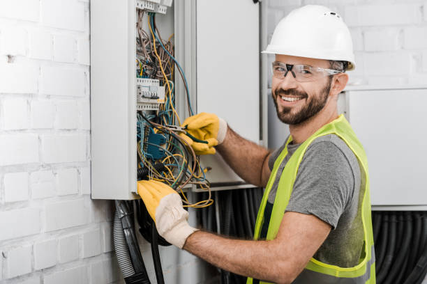 Best Local Electrician Companies  in Donaldsonville, LA