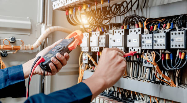 Best Ceiling Fan Installation Electrician  in Donaldsonville, LA