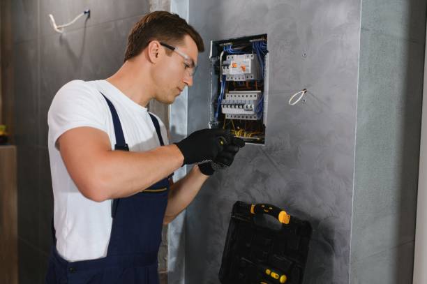 Best Electric Panel Repair  in Donaldsonville, LA